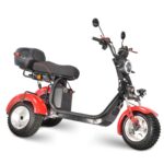 Электротрицикл WHITE SIBERIA IKRA 5000W - миниатюра 12