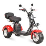 Электротрицикл WHITE SIBERIA IKRA 5000W - миниатюра 14