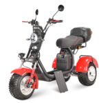Электротрицикл WHITE SIBERIA IKRA 5000W - миниатюра 15