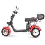 Электротрицикл WHITE SIBERIA IKRA 5000W - миниатюра 19
