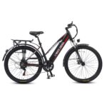 Электровелосипед WHITE SIBERIA CAMRY LIGHT 500W - миниатюра 13