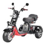 Электротрицикл WHITE SIBERIA PRO Trike + 3000 ватт, АКБ - 1шт, 20Ah 60V + доп. место под вторую АКБ - миниатюра 1