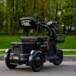 Электротрицикл WHITE SIBERIA SIBTRIKE 2000W - миниатюра 10
