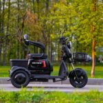 Электротрицикл WHITE SIBERIA SIBTRIKE 2000W - миниатюра 11