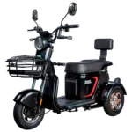 Электротрицикл White Siberia SIBTRIKE L 2000W - миниатюра 1
