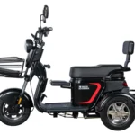 Электротрицикл White Siberia SIBTRIKE L 2000W - миниатюра 3