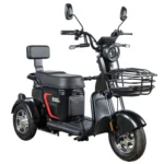 Электротрицикл White Siberia SIBTRIKE L 2000W - миниатюра 6