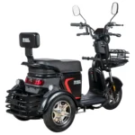 Электротрицикл White Siberia SIBTRIKE L 2000W - миниатюра 5
