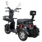 Электротрицикл White Siberia SIBTRIKE L 2000W - миниатюра 4