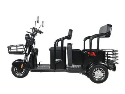 Электротрицикл WHITE SIBERIA SIBTRIKE R 2000W - фото 12