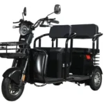 Электротрицикл WHITE SIBERIA SIBTRIKE R 2000W - миниатюра 1