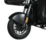 Электротрицикл WHITE SIBERIA SIBTRIKE R 2000W - миниатюра 2