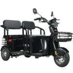 Электротрицикл WHITE SIBERIA SIBTRIKE R 2000W - миниатюра 3