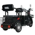 Электротрицикл WHITE SIBERIA SIBTRIKE R 2000W - миниатюра 5