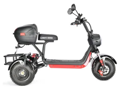Электротрицикл White Siberia TRIKE MINI 1500W - фото 10