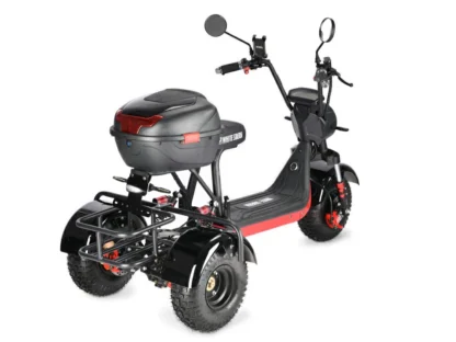 Электротрицикл White Siberia TRIKE MINI 1500W - фото 11