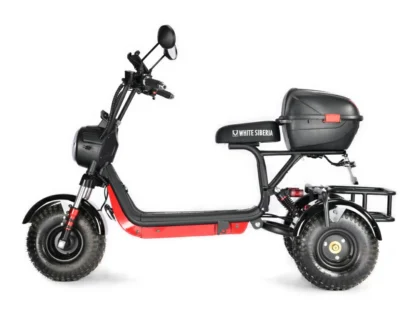 Электротрицикл White Siberia TRIKE MINI 1500W - фото 14