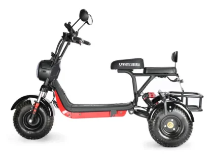 Электротрицикл White Siberia TRIKE MINI 1500W - фото 15