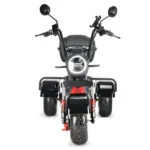 Электротрицикл White Siberia TRIKE MINI 1500W - миниатюра 8