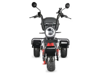 Электротрицикл White Siberia TRIKE MINI 1500W - фото 8
