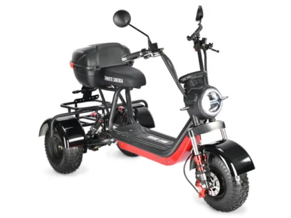 Электротрицикл White Siberia TRIKE MINI 1500W - фото 9