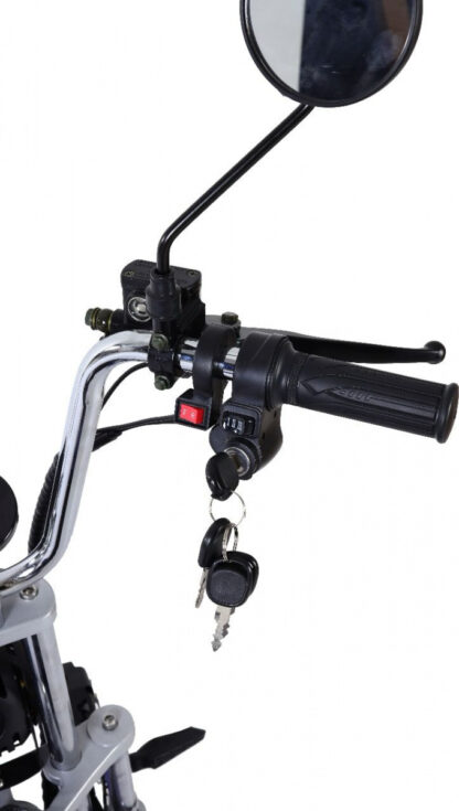 Элeктроcкутер CityCoco GT-X6 TRIKE - фото 10