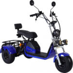 Элeктроcкутер CityCoco GT-X6 TRIKE - миниатюра 22