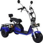 Элeктроcкутер CityCoco GT-X6 PRO TRIKE - миниатюра 13