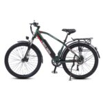 Электровелосипед WHITE SIBERIA CAMRY ALLROAD 500W (матовый зеленый) - миниатюра 10