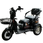 Электротрициклы Беркут 48V20Ah 800W - миниатюра 1