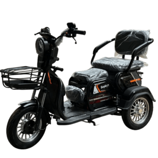 Электротрициклы Беркут 48V20Ah 800W