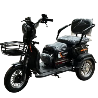 Электротрициклы Беркут 48V20Ah 800W
