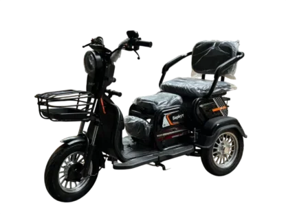 Электротрициклы Беркут 48V20Ah 800W
