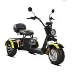 Электротрицикл SIBERTON PRO TRIKE 3000W 10" - миниатюра 5