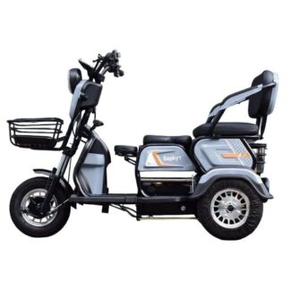 Электротрицикл Беркут 1000W 60V 23A