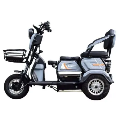 Электротрицикл Беркут 1000W 60V 23A