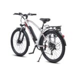 Электровелосипед WHITE SIBERIA CAMRY ALLROAD 500W (матовый серебристый) - миниатюра 4
